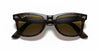 Ray-Ban Wayfarer Tortoise Sunglasses