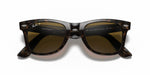 Ray-Ban Wayfarer Tortoise Sunglasses