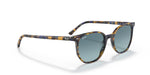 Ray-Ban Elliot Sunglasses