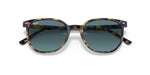 Ray-Ban Elliot Sunglasses