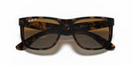 Ray-Ban Justin Sunglasses