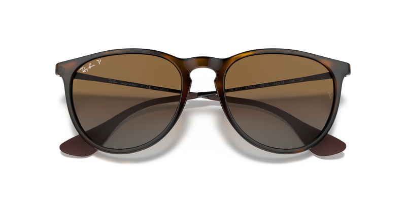 Ray-Ban Erika Sunglasses