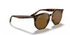 Ray-Ban RB4306 Sunglasses