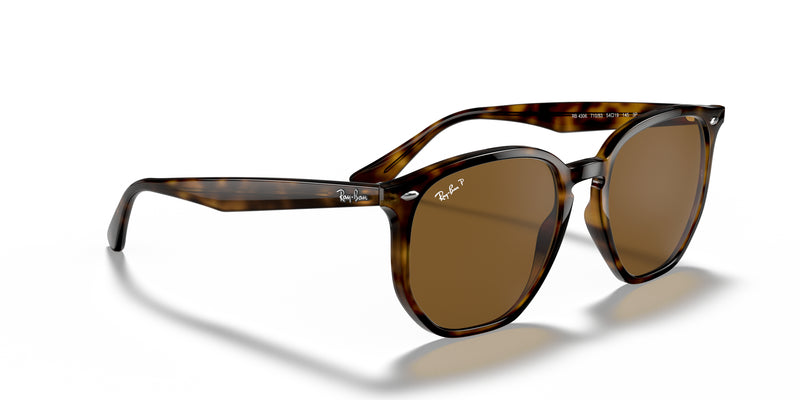 Ray-Ban RB4306 Sunglasses