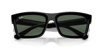 Ray-Ban Warren Sunglasses