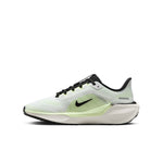 Boy's Nike Youth Pegasus 41