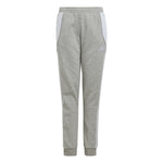 Boys' Adidas Youth Tiro 24 Sweatpant - GREY