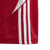 Boys'/Girls' Adidas Youth Tiro 24 Short - RED