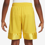 Boys' Nike Elite 23 Stripe Basketball Shorts - 709 SULF