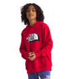 Boys' The North Face Youth Camp Hoodie - 682 - RED