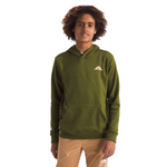 Boys' The North Face Youth Camp Hoodie - TUI OLIV