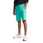 Boys' The North Face Youth Never Stop Short - PIN AQUA