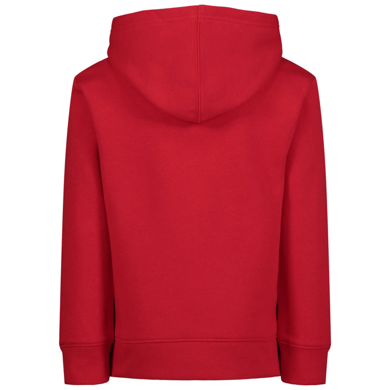 Boys' Under Armour Toddler Rival Print Fill Hoodie - 621 RED