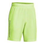 Boys' Under Armour Youth Woven Wordmark Short - 304 GRN