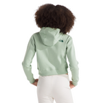 Girls' The North Face Youth Camp Hoodie - TV0 SAGE