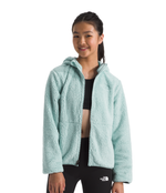 Girls' The North Face Youth Campshire Full-Zip Hoodie - 1OC - MUTED PINE