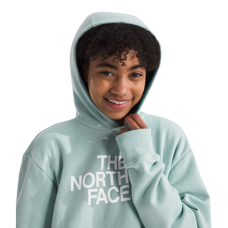 Girls' The North Face Youth Half Dome Hoodie - 1OC - MUTED PINE