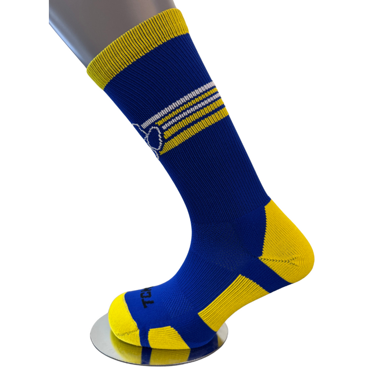 Kearney Bearcats Varsity Paw Socks - BLU/GOLD