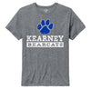 Men's Kearney Bearcats Distressed Victory T-Shirt - FALLHTHR