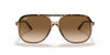 Ray-Ban Bill Sunglasses - HAVANA