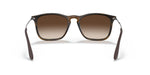 Ray-Ban Chris Sunglasses - R HAVANA