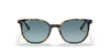 Ray-Ban Elliot Sunglasses - YELLOW