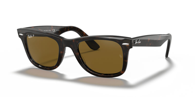 Ray-Ban Wayfarer Tortoise Sunglasses - TORTOISE