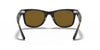 Ray-Ban Wayfarer Tortoise Sunglasses - TORTOISE