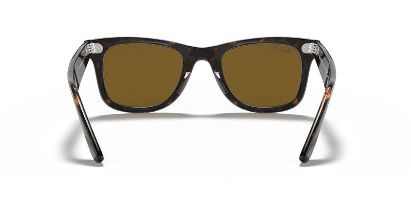 Ray-Ban Wayfarer Tortoise Sunglasses - TORTOISE