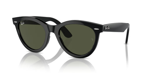 Ray-Ban Wayfarer Way Sunglasses - BLACK