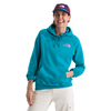 Women's The North Face Crown Shyness Hoodie - 1ONALKAL