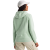 Women's The North Face Evolution Fleece Hoodie - I0GSAGE