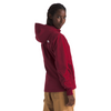 Women's The North Face Shelbe Raschel Hoodie - 1IX - BEETROOT