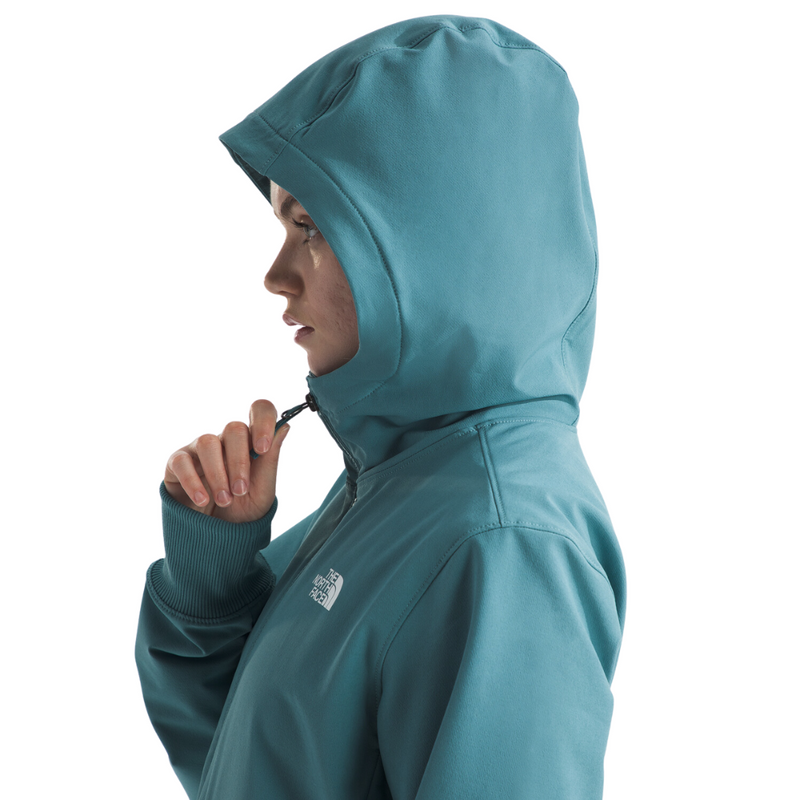 Women's The North Face Shelbe Raschel Hoodie - 1OMALGAE